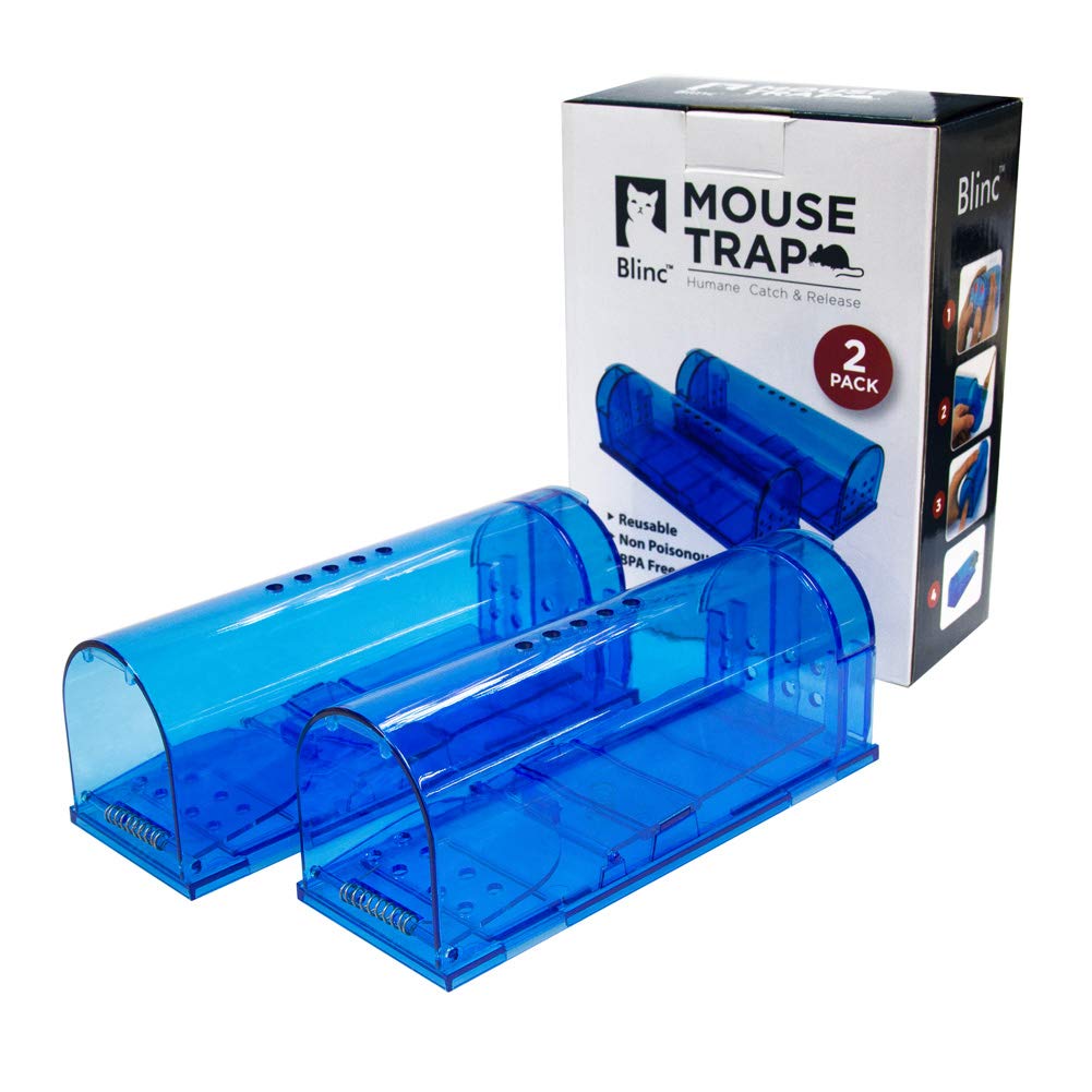 blinc humane mouse trap in outdoor setting