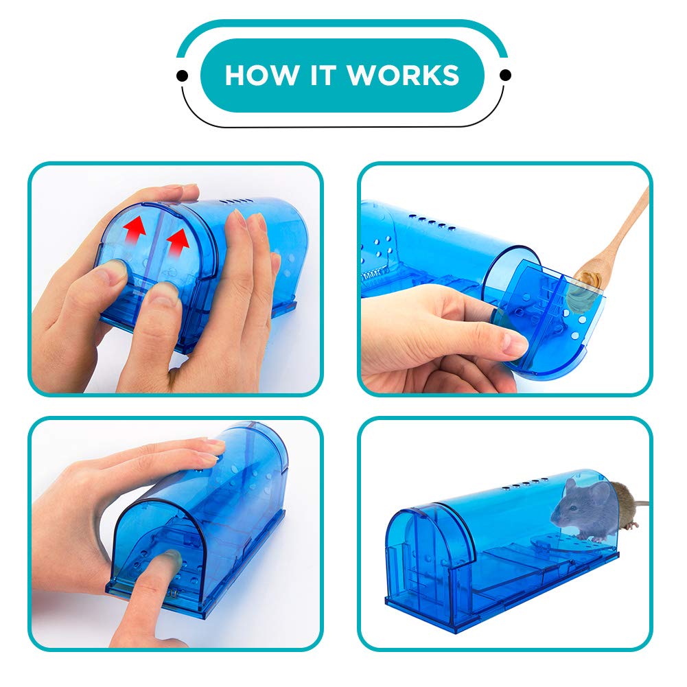 blinc mouse trap designed for humane rodent capture