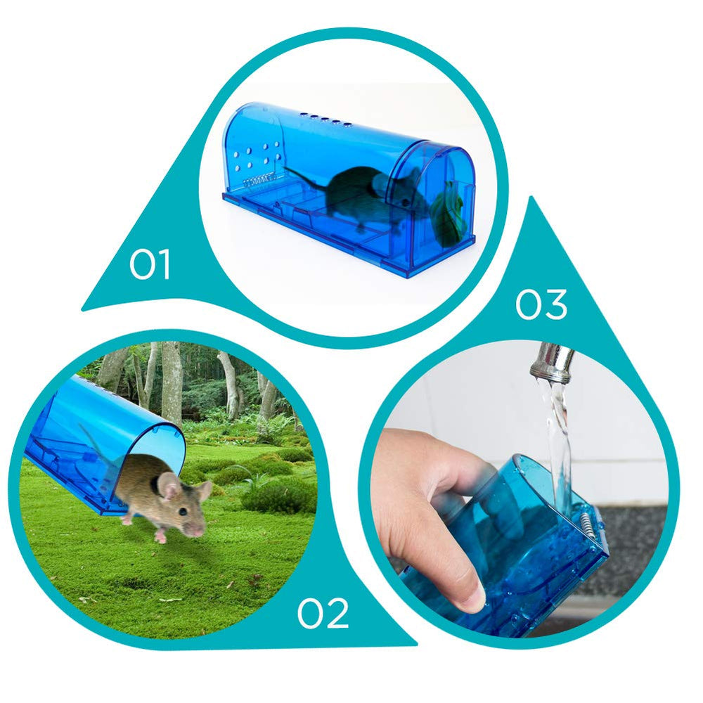 blinc mouse trap open with bait inside