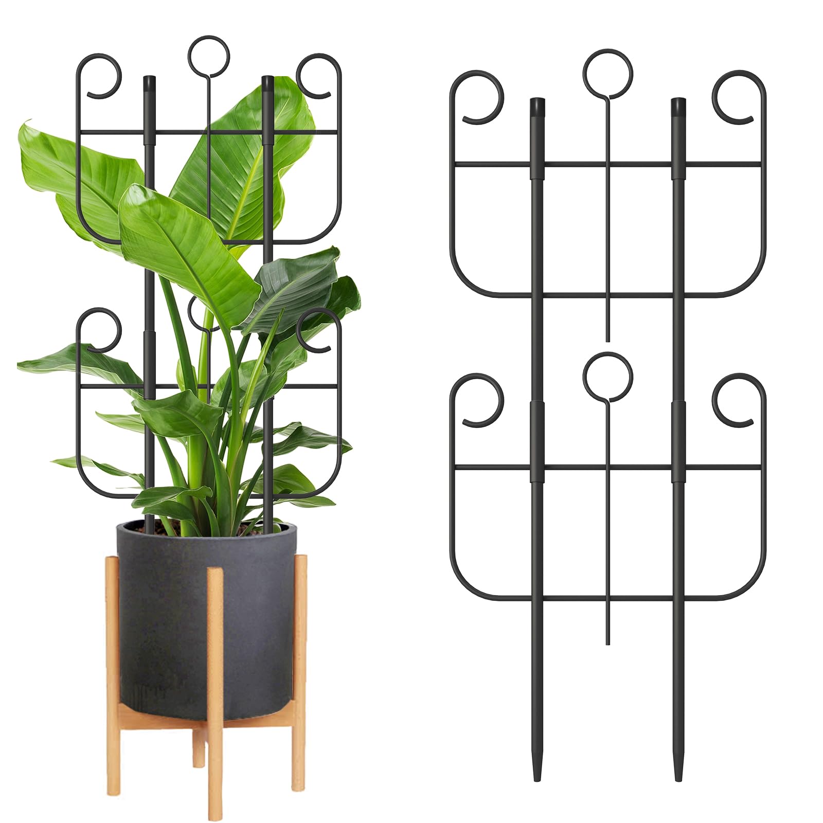 Blingluck 2 Pack Trellis for Climbing Plants front view