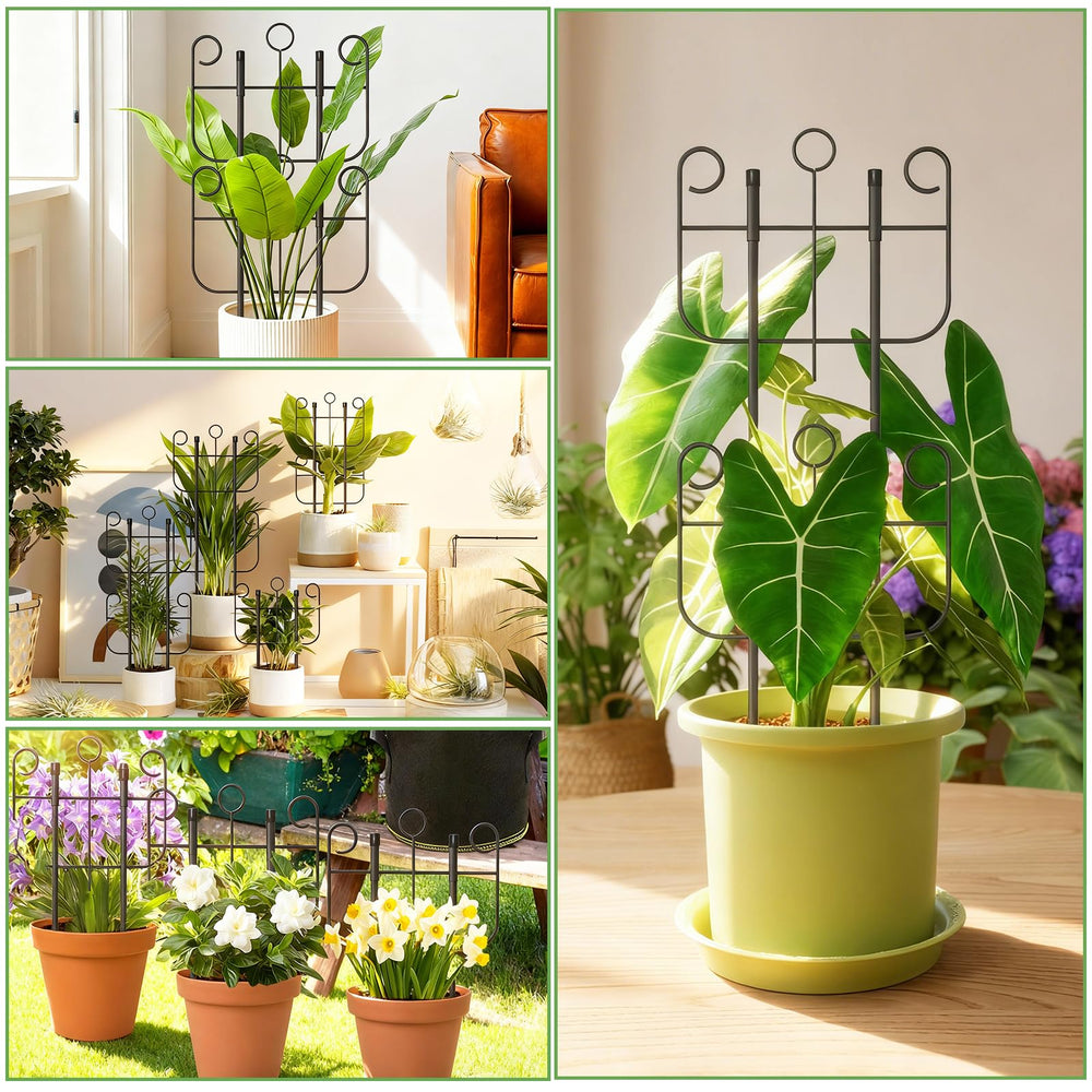 Blingluck metal trellis side view with climbing plants