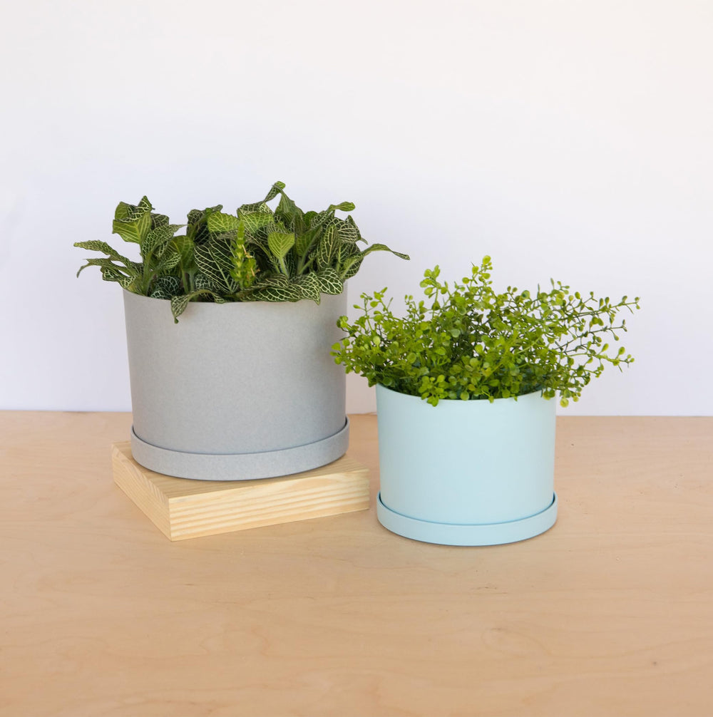 Bloem Mathers 6-inch planter with snap-on saucer