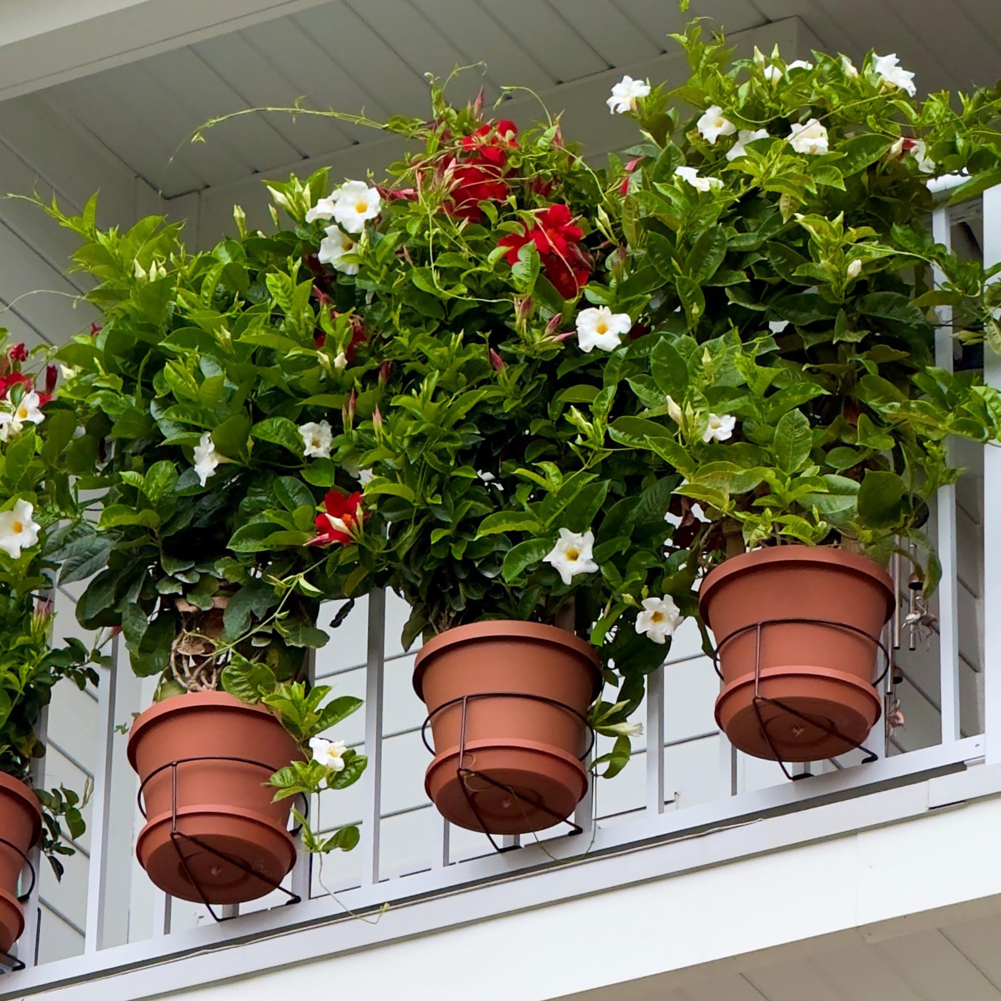 Bloem Railing Plant Clip supporting a 10-inch pot on a balcony railing