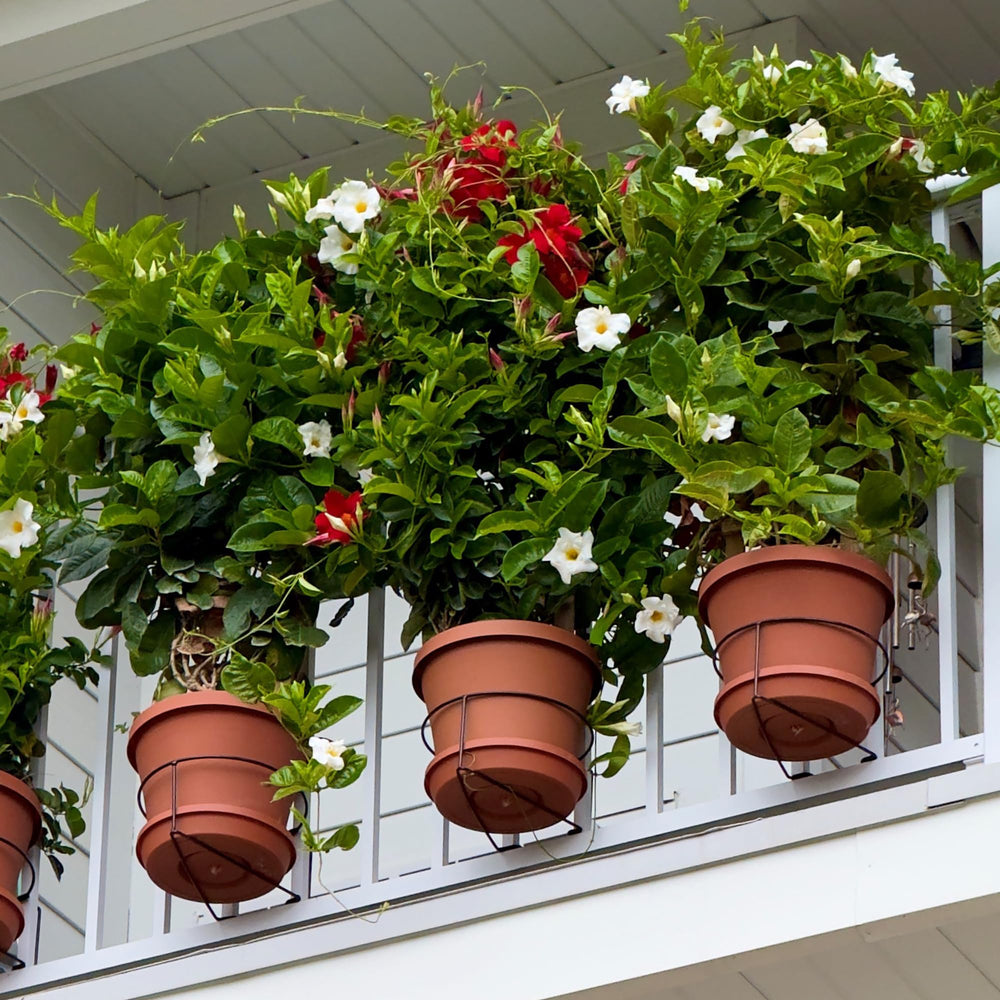 Bloem Railing Plant Clip supporting a 10-inch pot on a balcony railing
