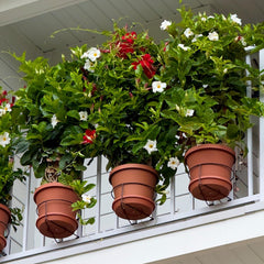 Bloem Railing Plant Clip supporting a 10-inch pot on a balcony railing