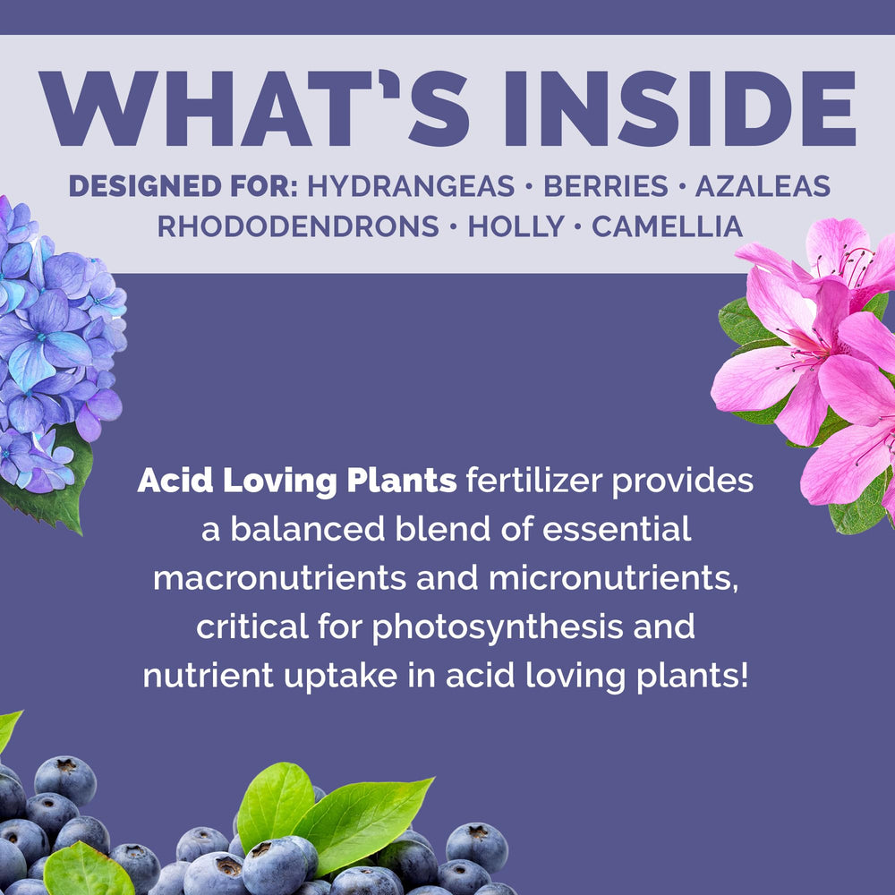 Bloom City Acid-Loving Plant Fertilizer with blueberries and hydrangeas