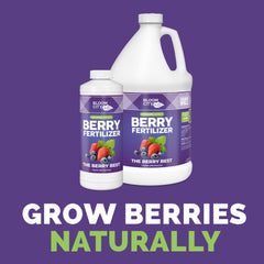 Bloom City Organic Berry Fertilizer 32 oz back view with instructions