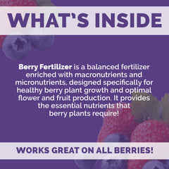 Bloom City Organic Berry Fertilizer 32 oz side view showcasing the liquid