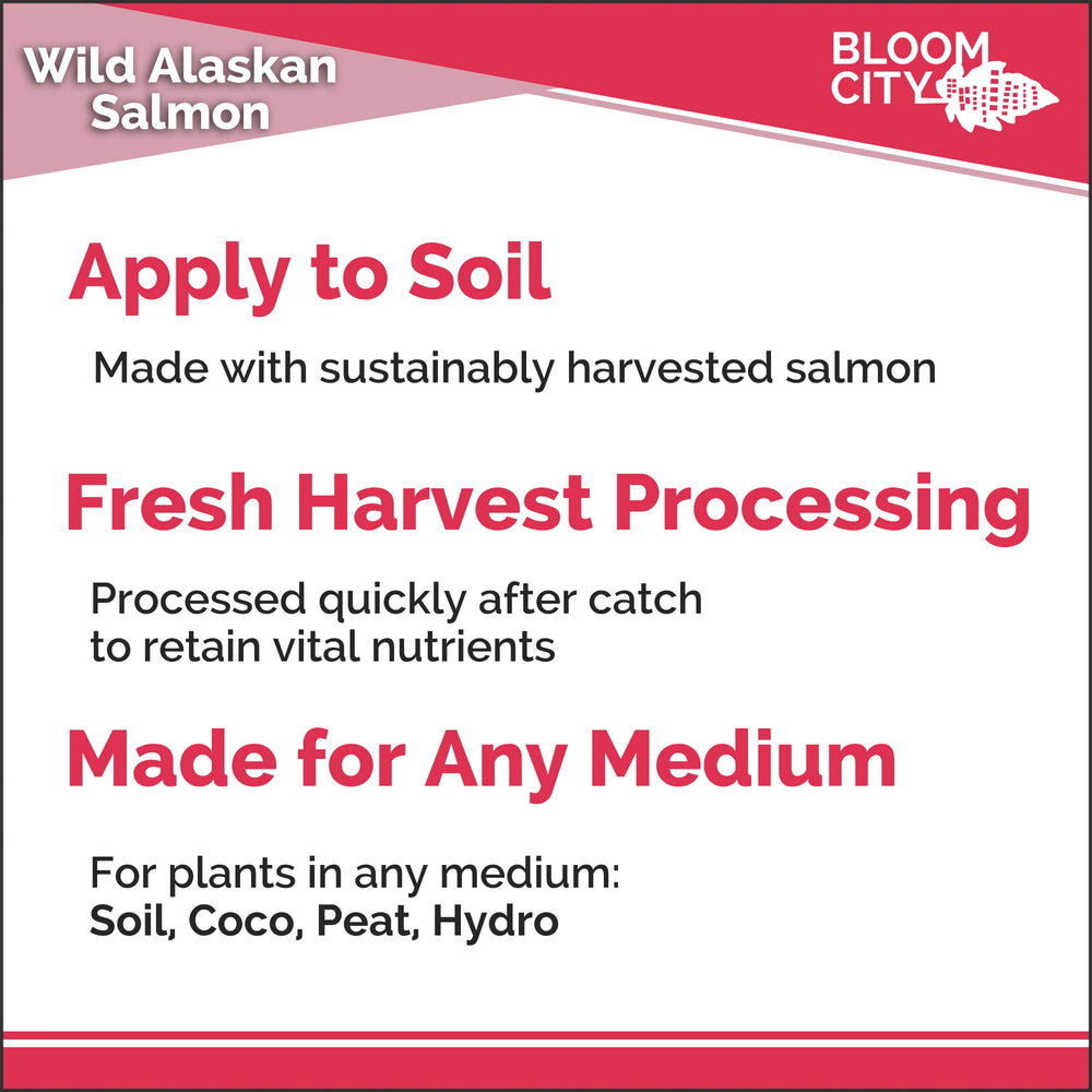 Bloom City Organic Wild Fish Fertilizer 1 Gal lifestyle use in garden