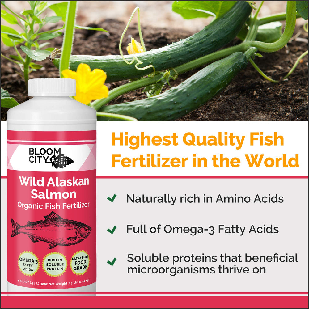 Bloom City Organic Wild Fish Fertilizer 1 Gal side view showing label