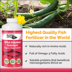 Bloom City Organic Wild Fish Fertilizer 1 Gal side view showing label
