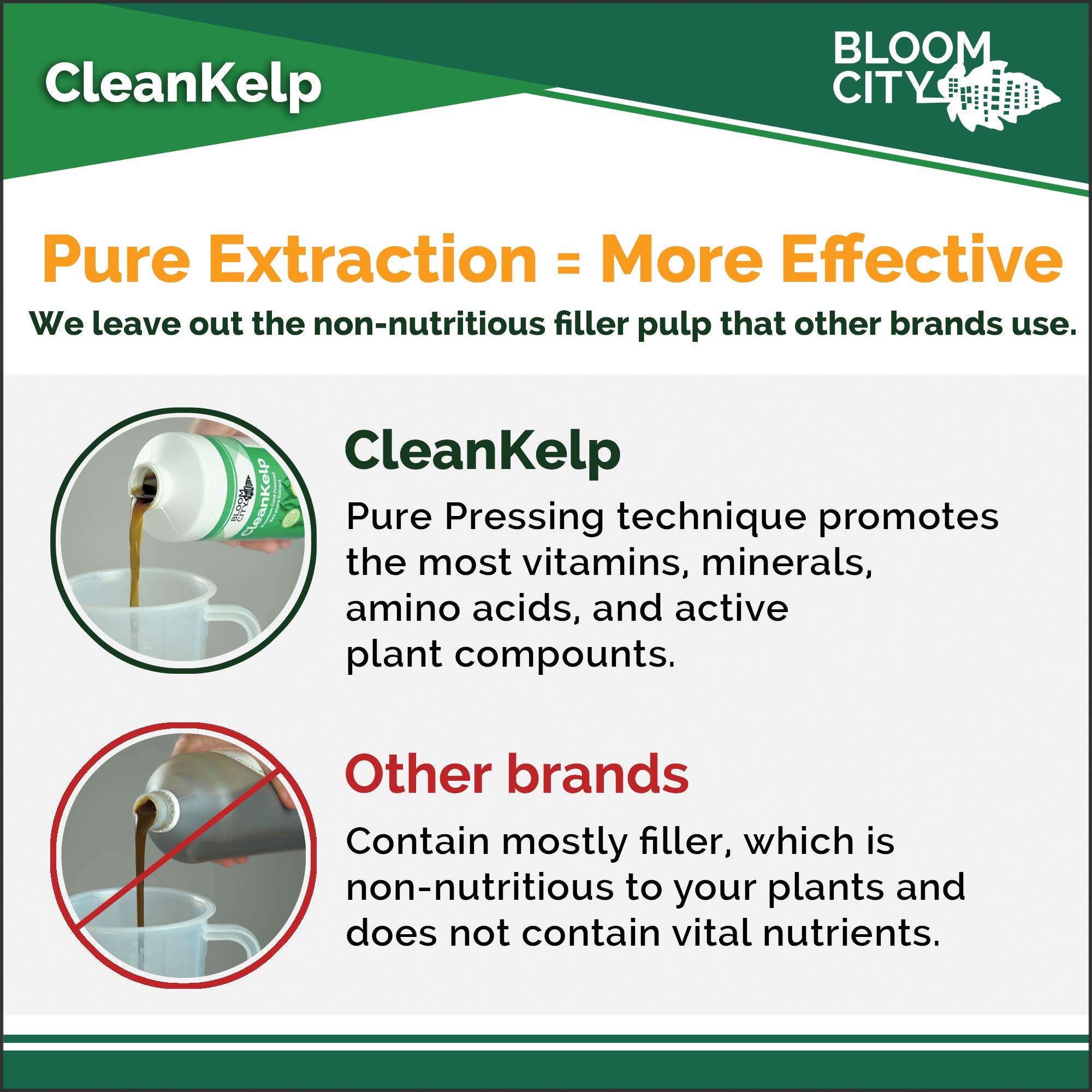 Bloom City Seaweed and Kelp Liquid Fertilizer applied to healthy plants