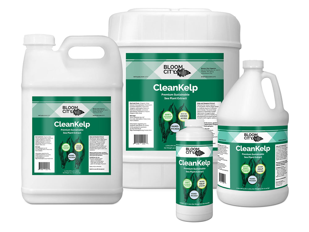 Bloom City Seaweed and Kelp Liquid Fertilizer in garden setting