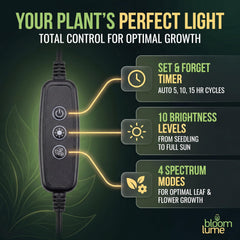 Bloom Lume LED Grow Light mounted on a plant pot