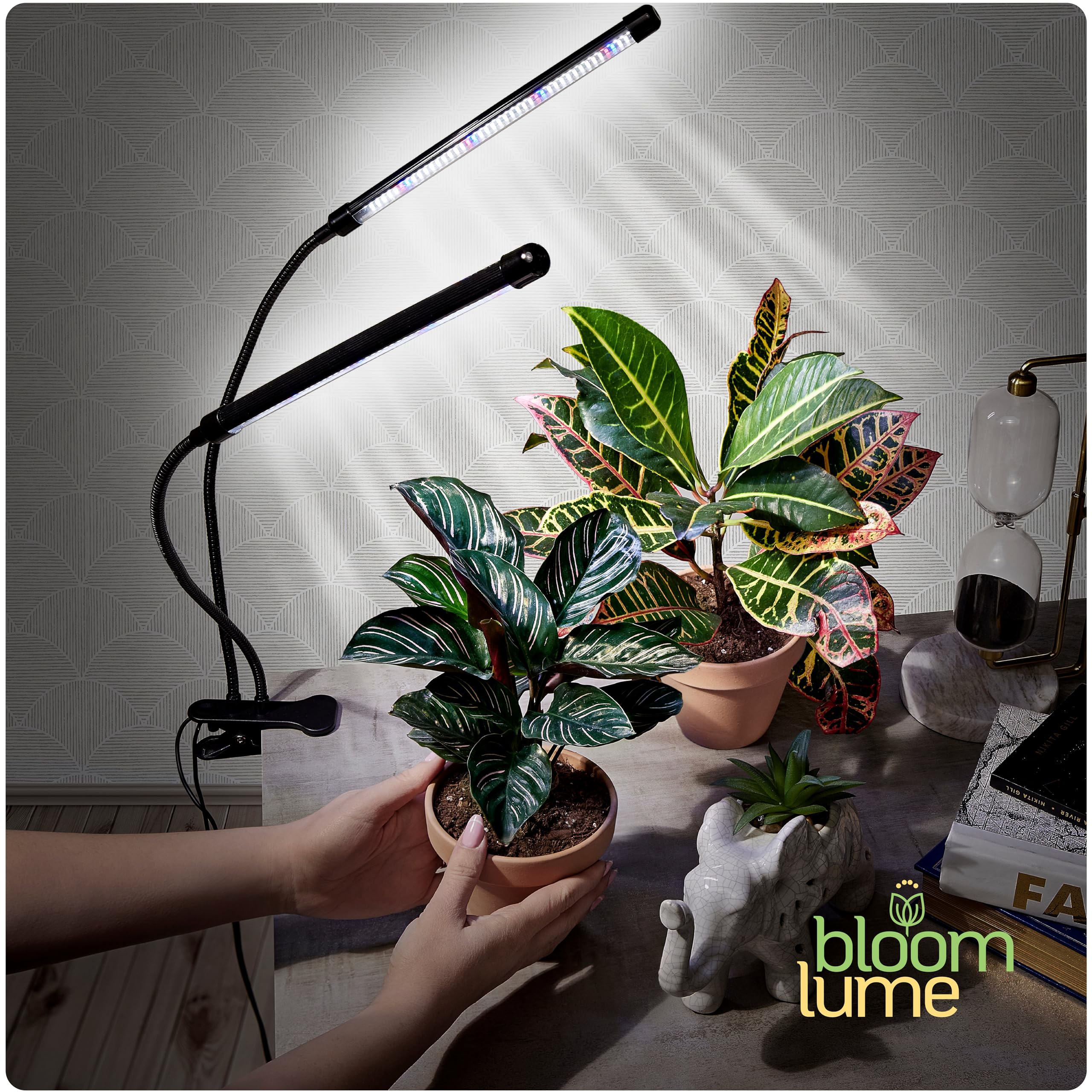 Bloom Lume LED Grow Light with mounting hardware included