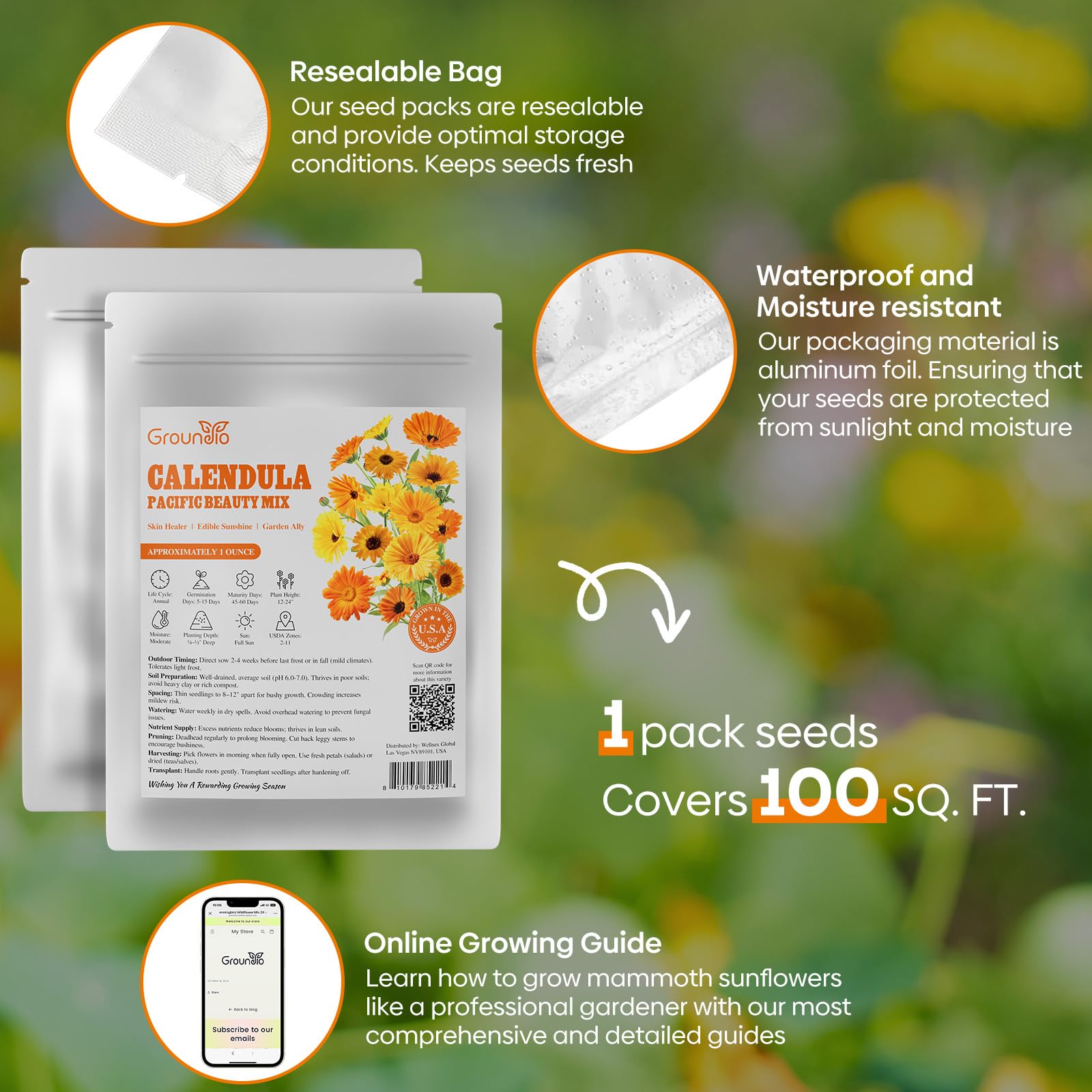 Blooming Calendula flowers in a garden bed