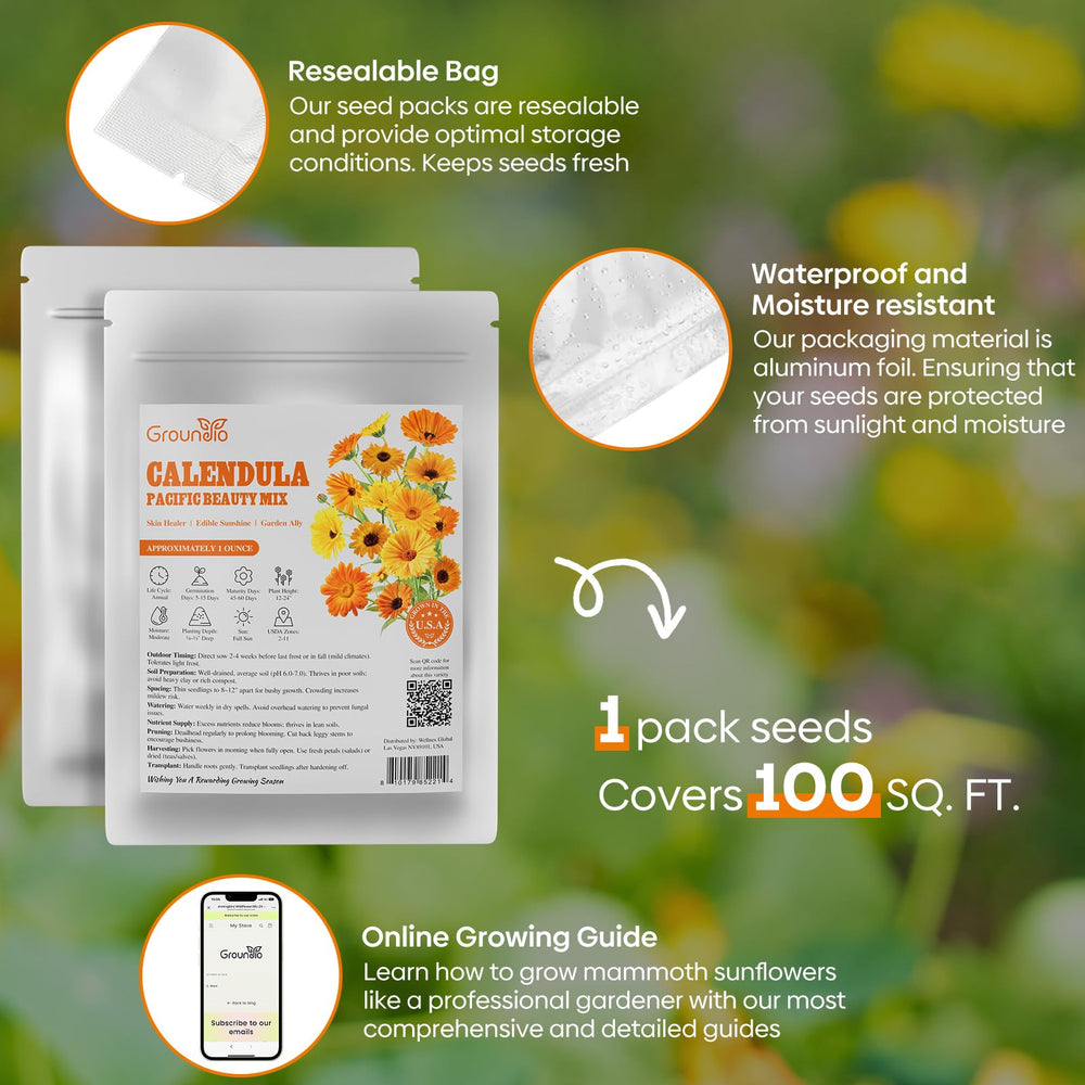 Blooming Calendula flowers in a garden bed
