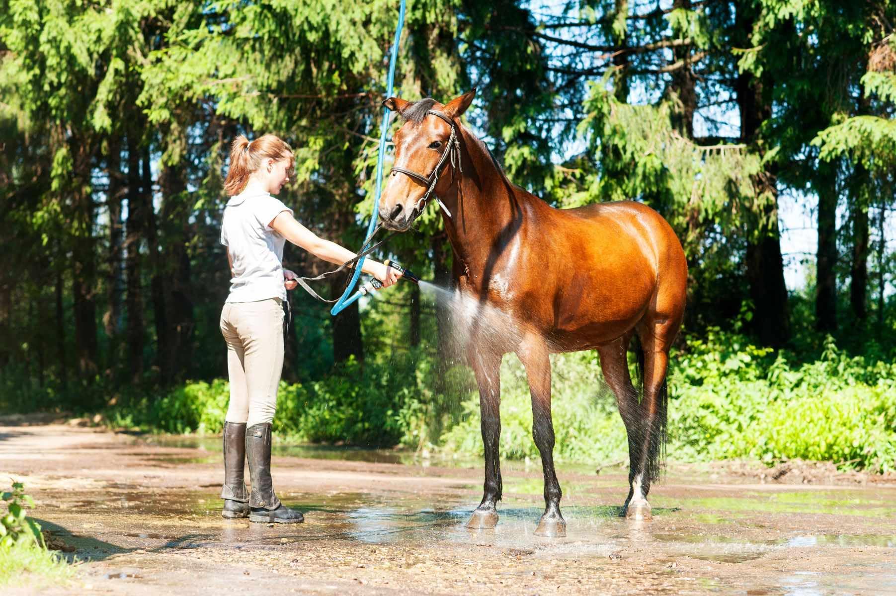 BLUBIRD AG-LITE hose on garden equipment