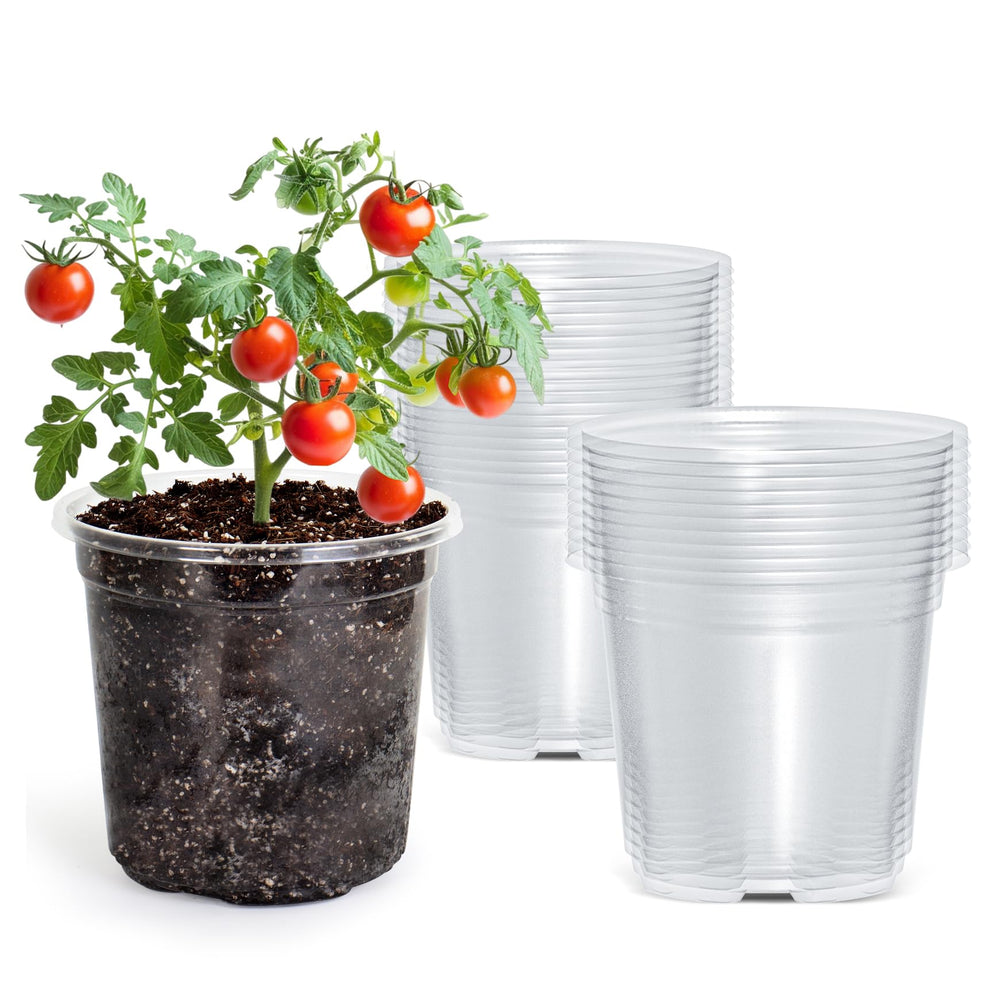 Bluepro 5-inch clear nursery pot front view