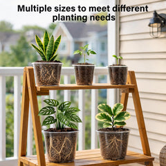 Bluepro 5-inch clear nursery pot showing roots