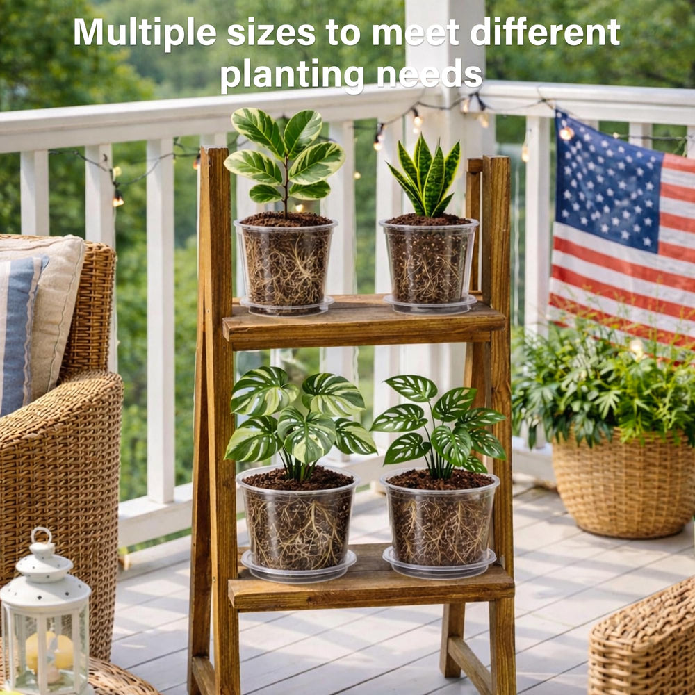 Bluepro Clear Nursery Pots 10-inch size with matching saucer