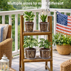 Bluepro Clear Nursery Pots 10-inch size with matching saucer