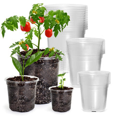 Bluepro Clear Nursery Pots 4-inch size front view