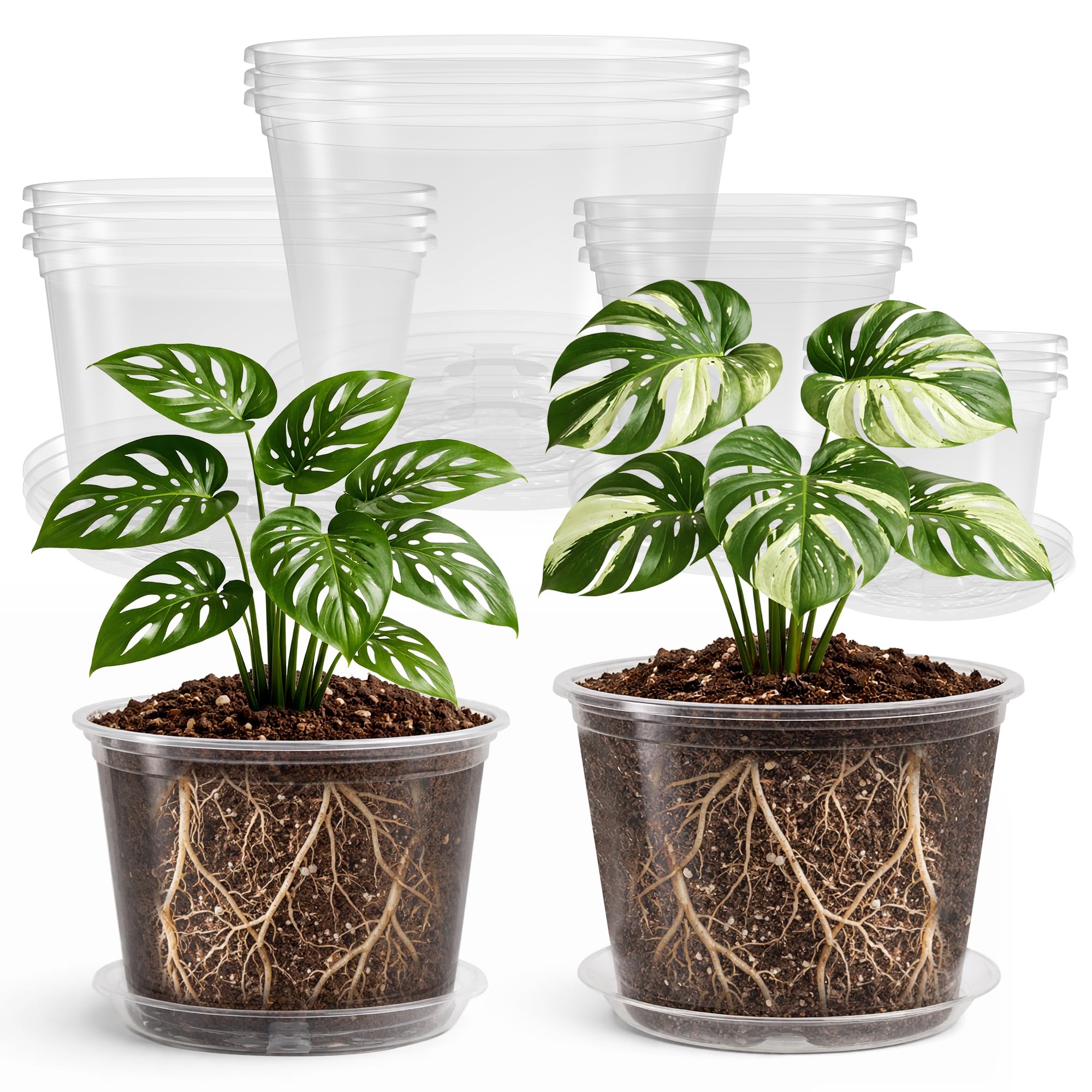 Bluepro Clear Nursery Pots 5-inch size with matching saucer