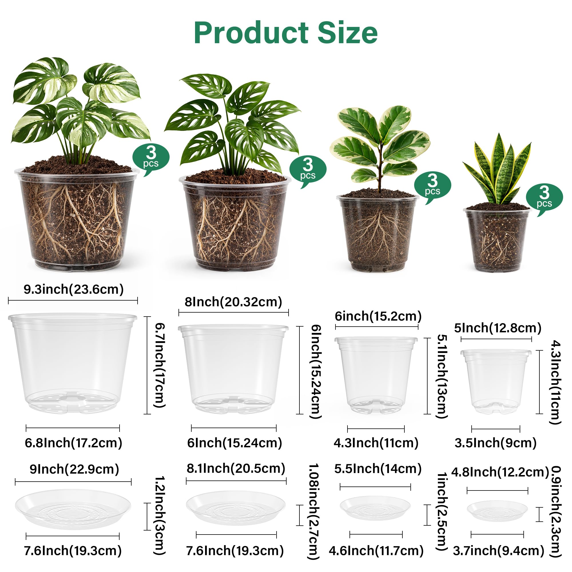 Bluepro Clear Nursery Pots 6-inch size with matching saucer