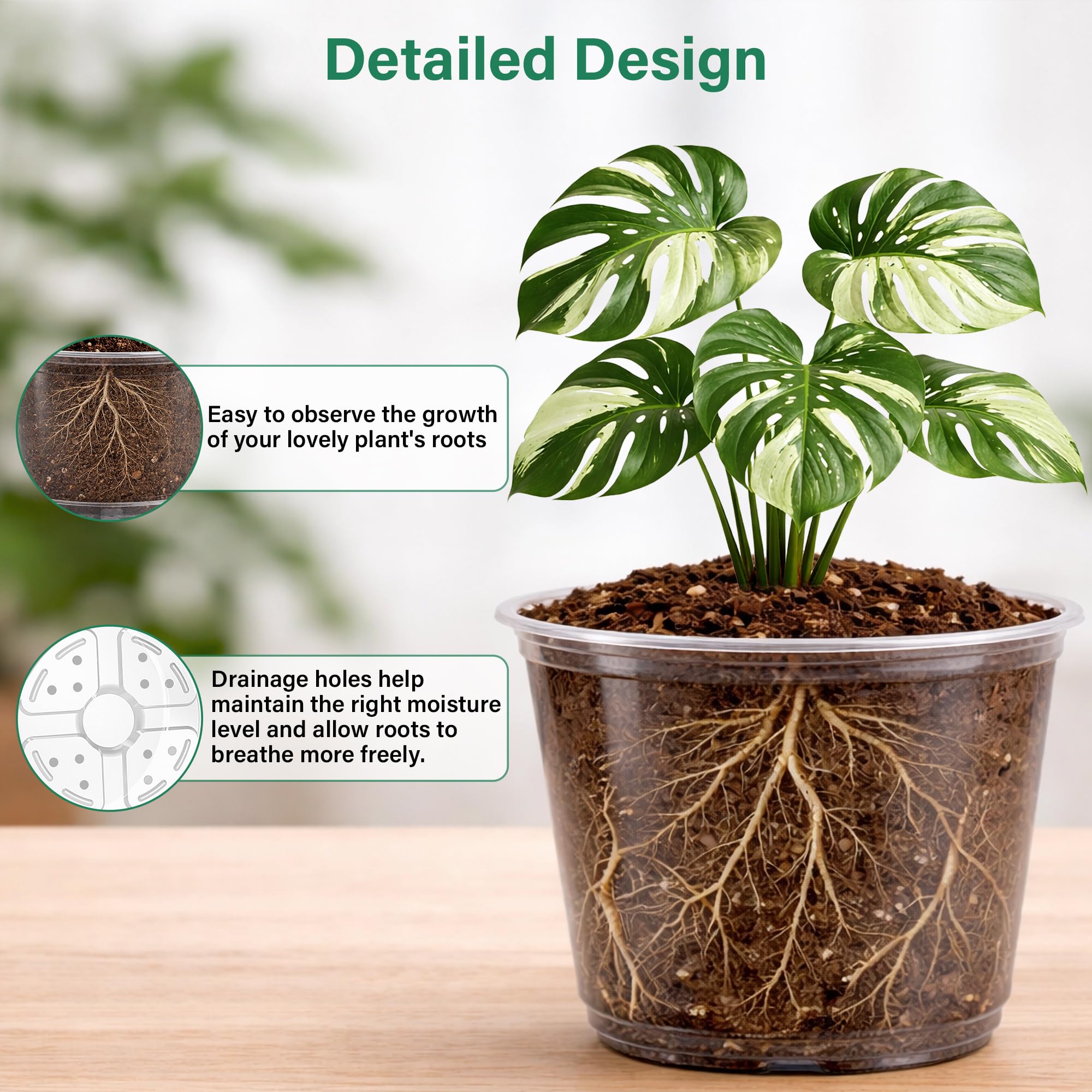 Bluepro Clear Nursery Pots 8-inch top view