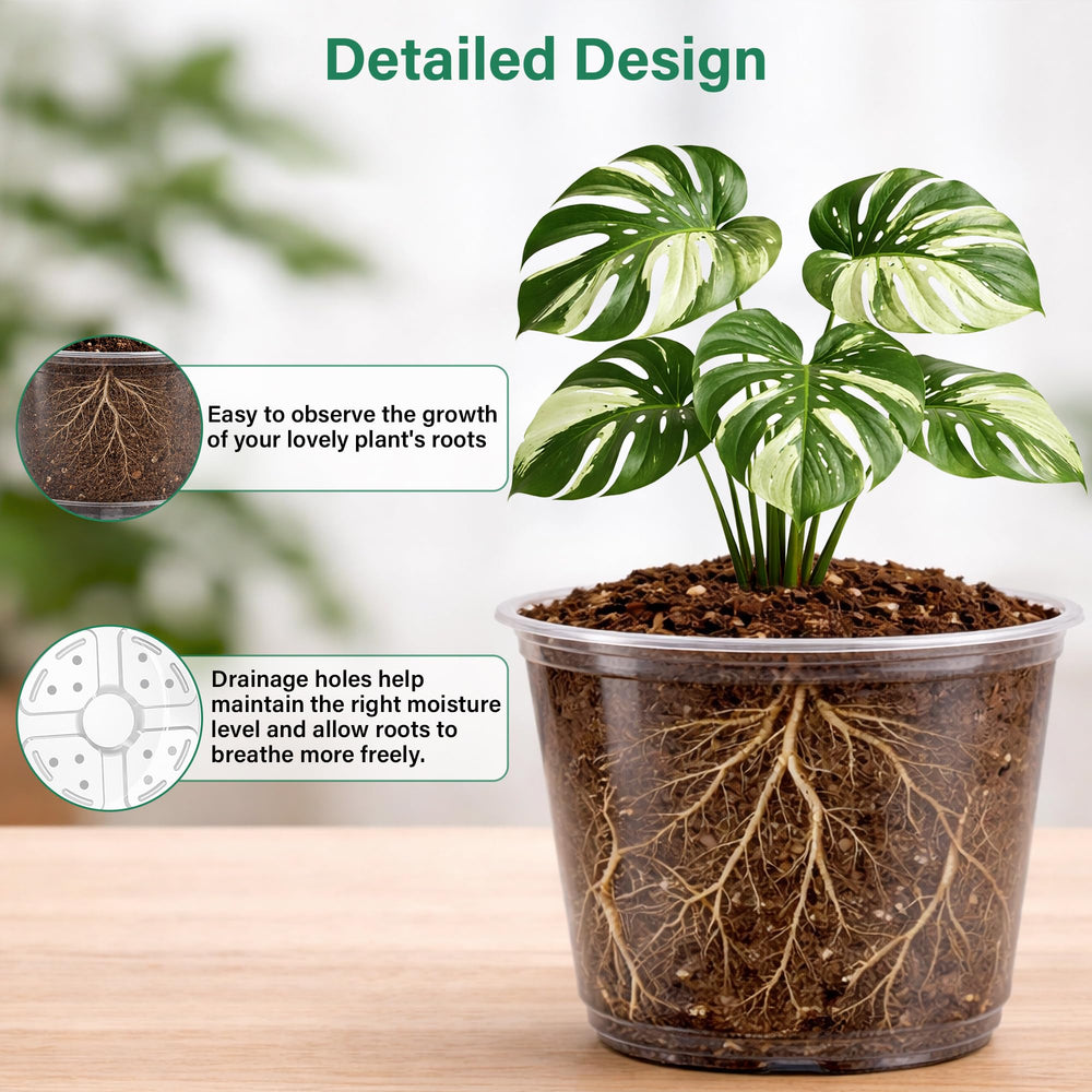 Bluepro Clear Nursery Pots 8-inch top view