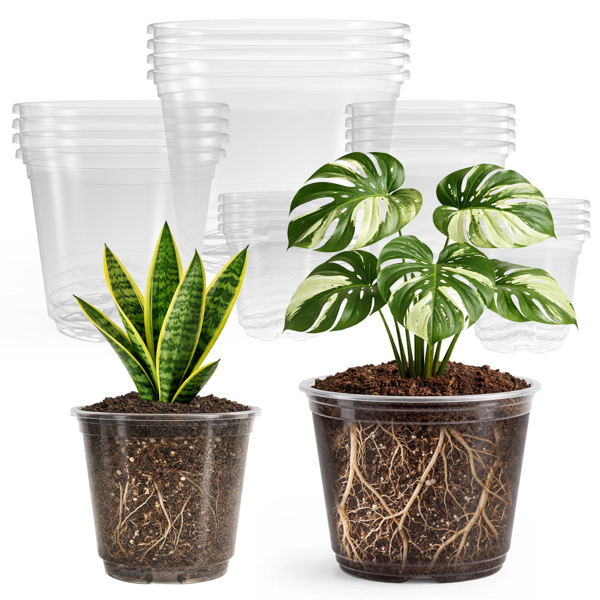 Bluepro clear nursery pots assorted sizes front view