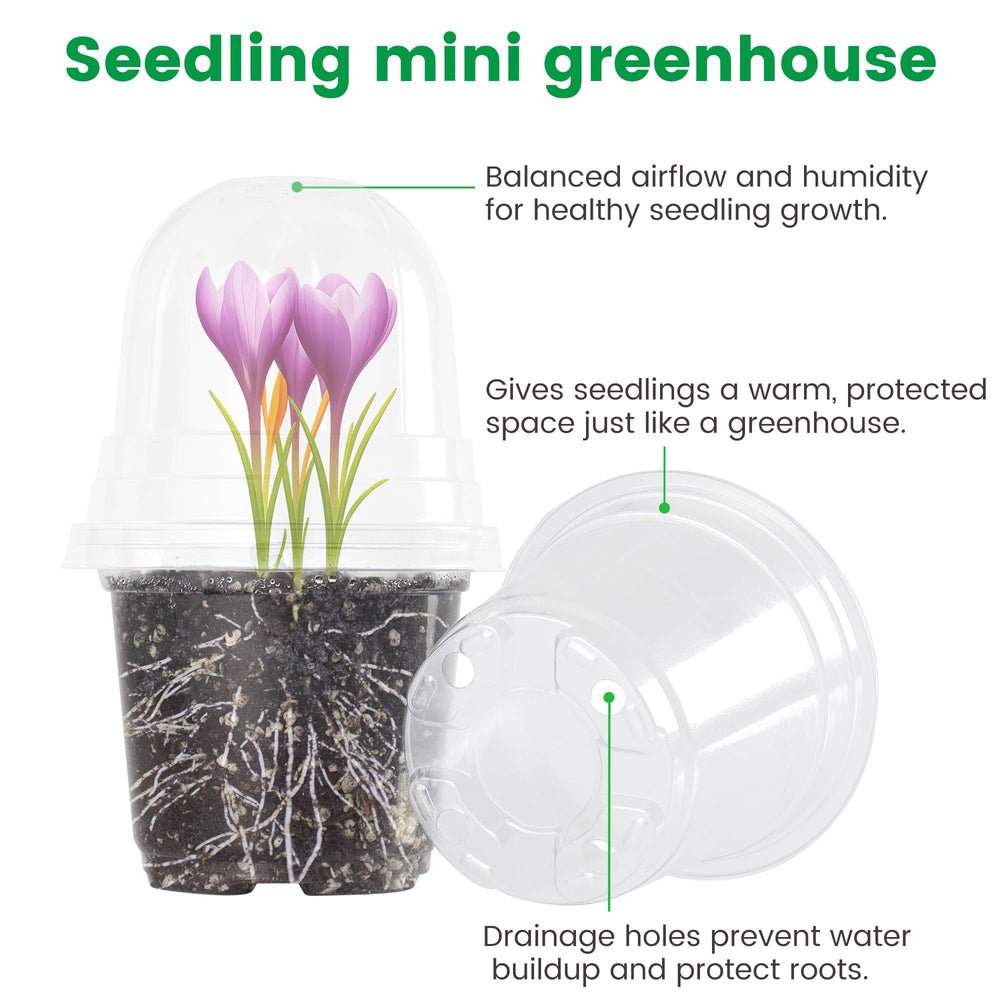 Bluepro clear nursery pots with humidity domes, 5-inch size
