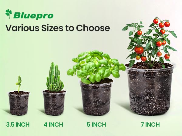Bluepro Clear Nursery Pots with label for plant identification