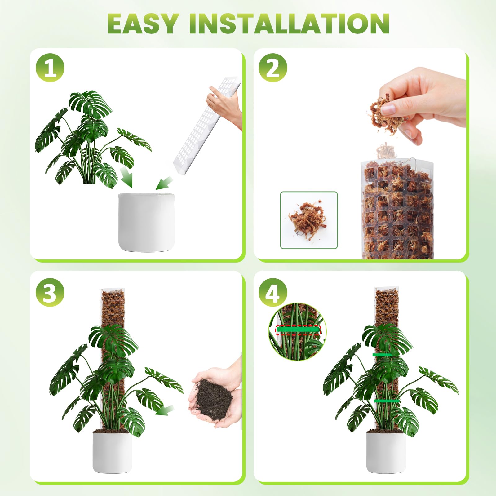 Bluepro Plastic Moss Pole in a pot with Monstera plant
