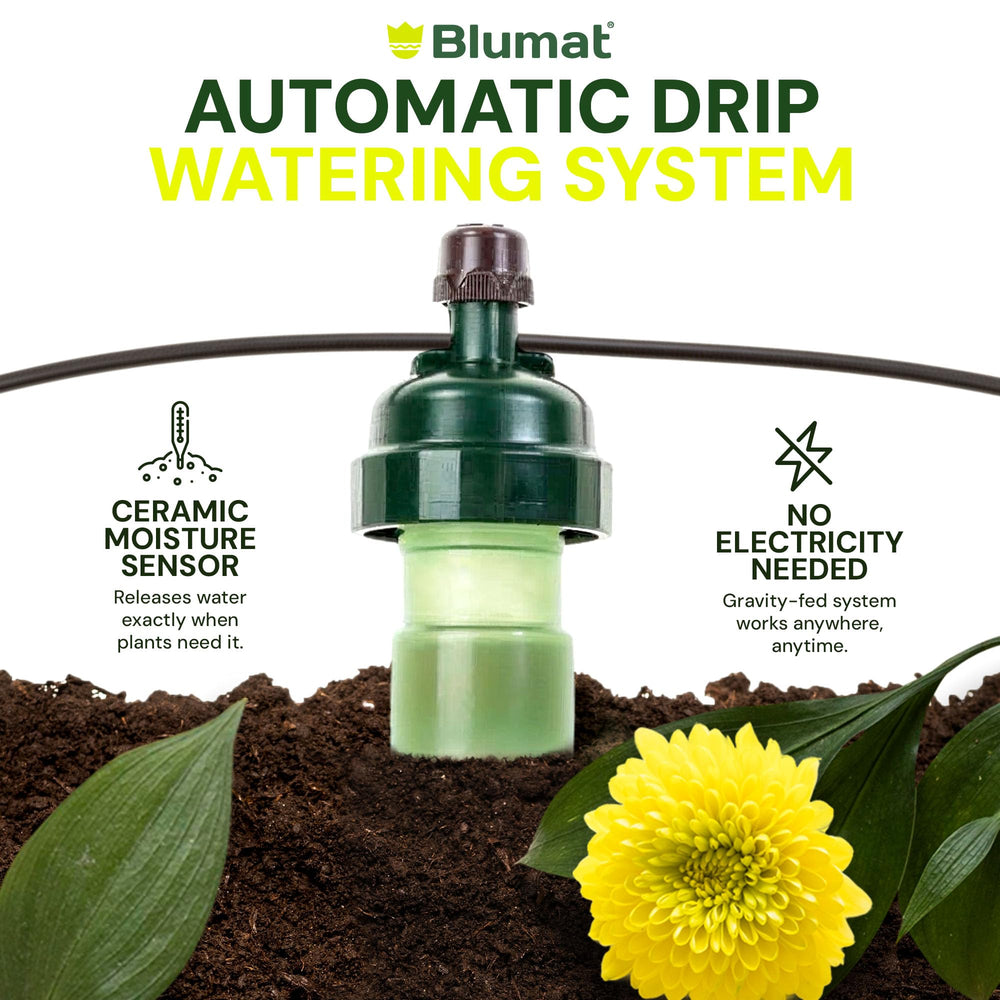 Blumat watering system with various plant types