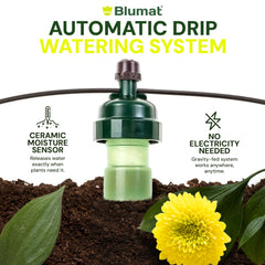 Blumat watering system with various plant types
