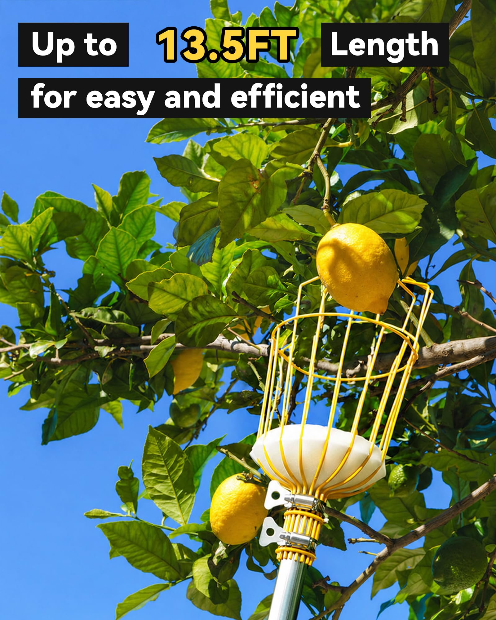 BlumeTrec Fruit Picker in use picking apples from a tree