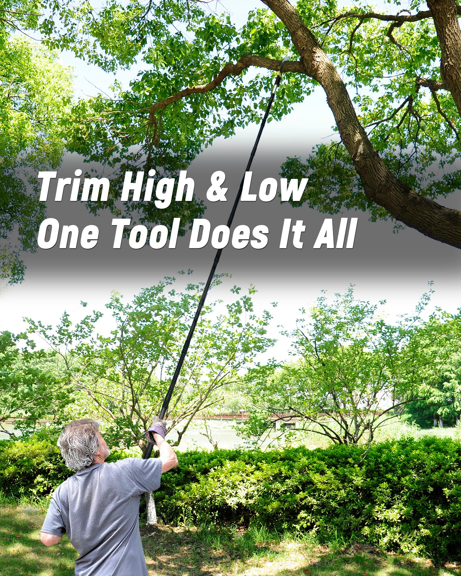 BlumeTrec pole saw in use for tree trimming