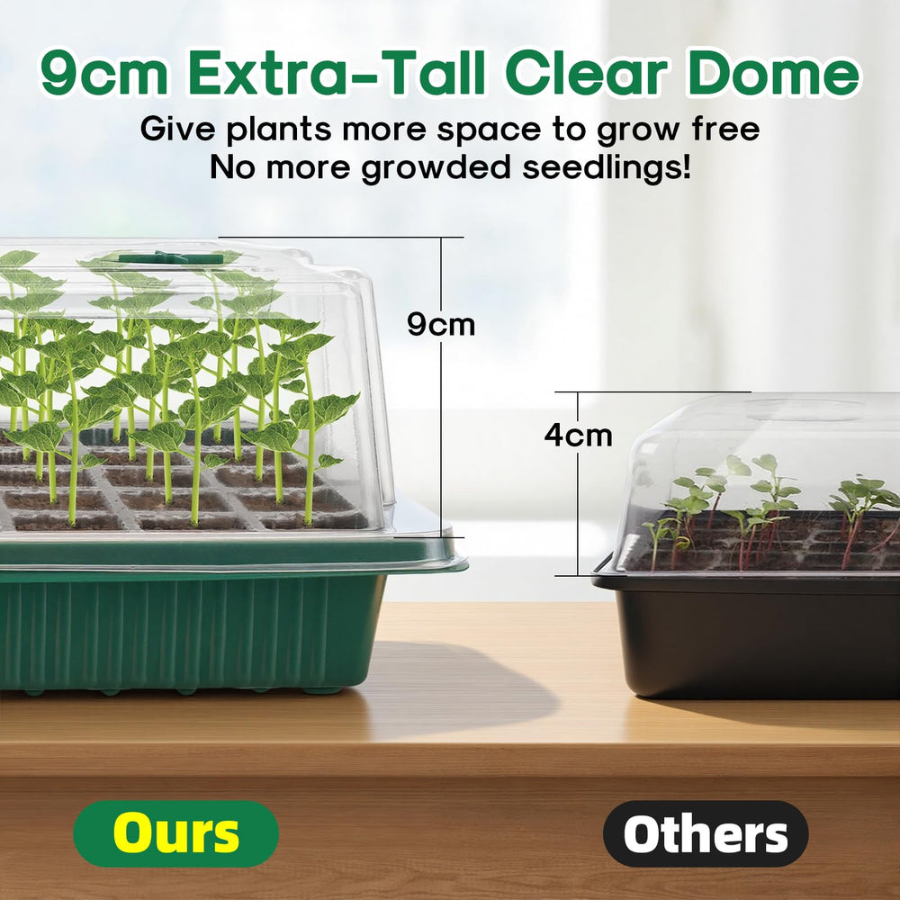BlumWay Seed Starter Tray showing drainage holes