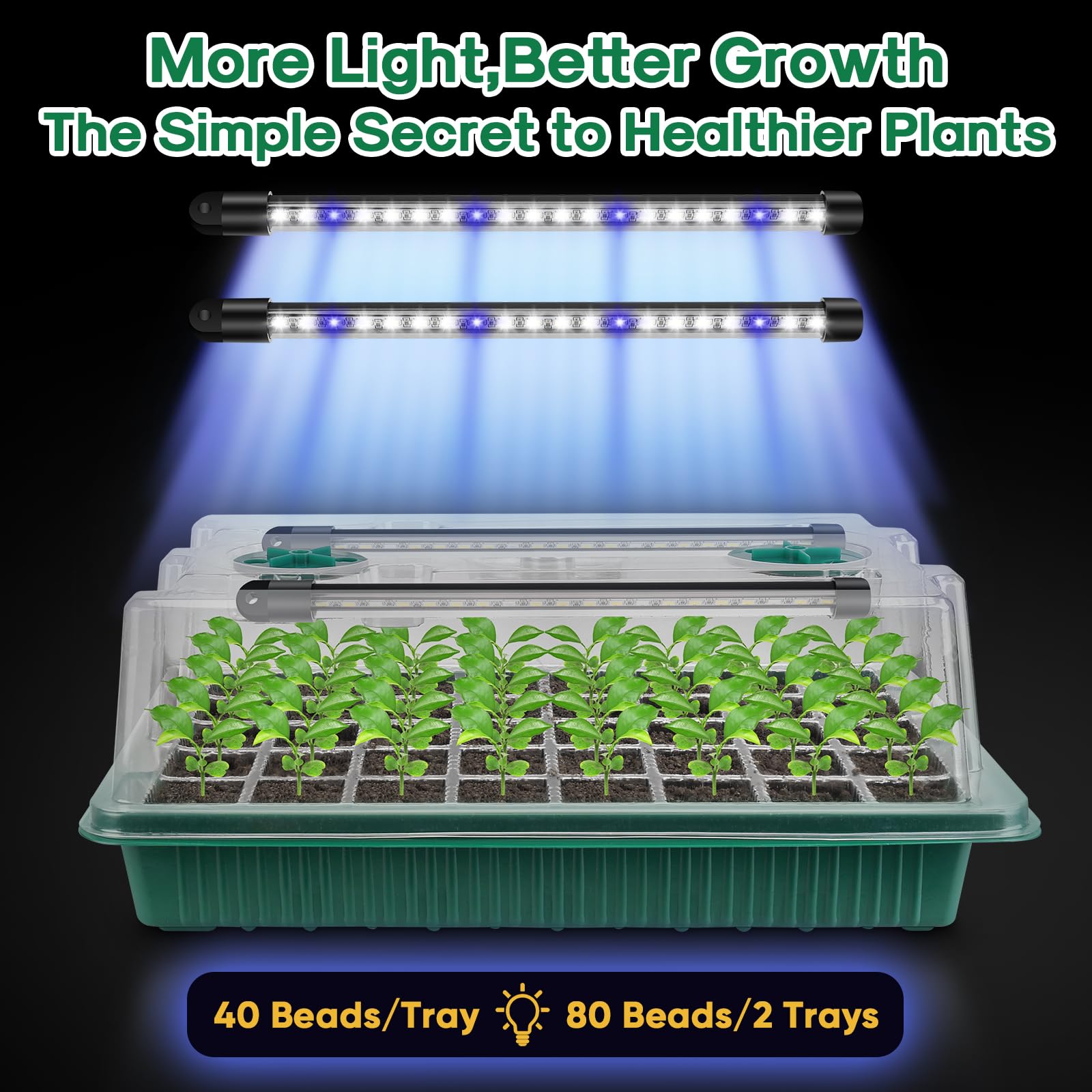 BlumWay Seed Starter Tray with clear dome monitoring