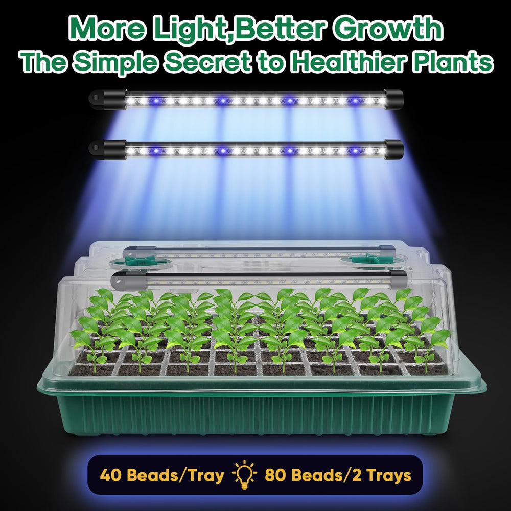 BlumWay Seed Starter Tray with clear dome monitoring