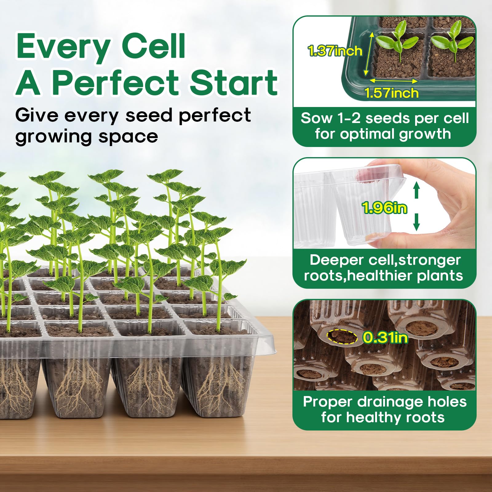 BlumWay Seed Starter Tray with included plug and tools
