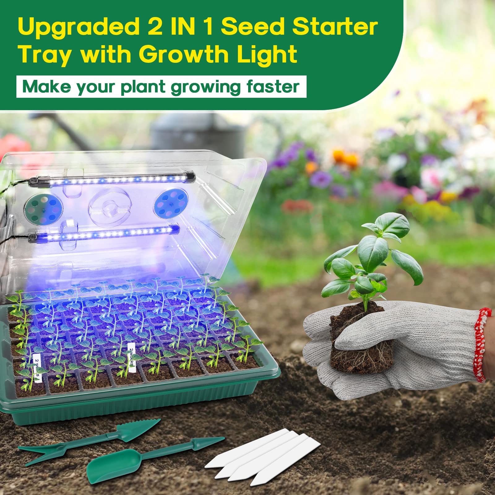 BlumWay Seed Starter Tray with plants inside