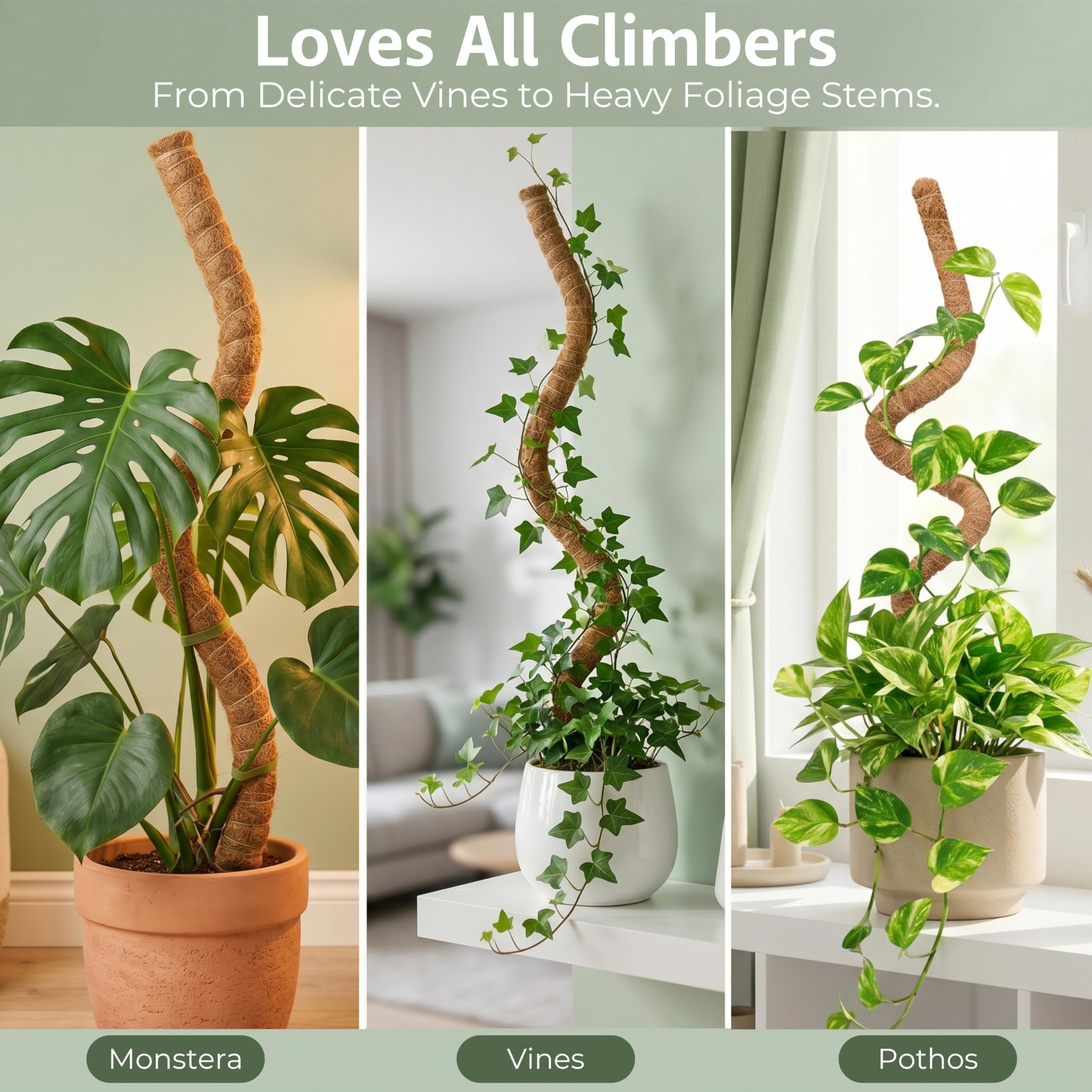 Blush Ease moss pole with attached plastic labels for plant identification