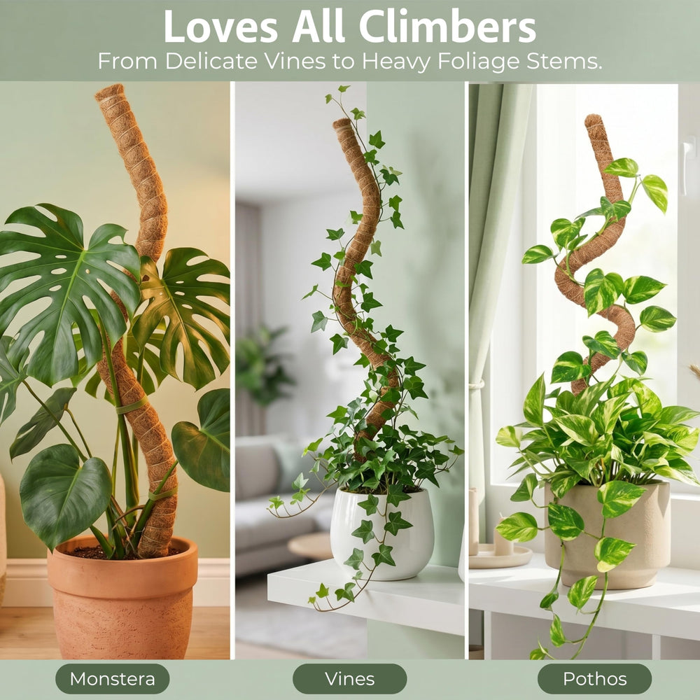 Blush Ease moss pole with attached plastic labels for plant identification