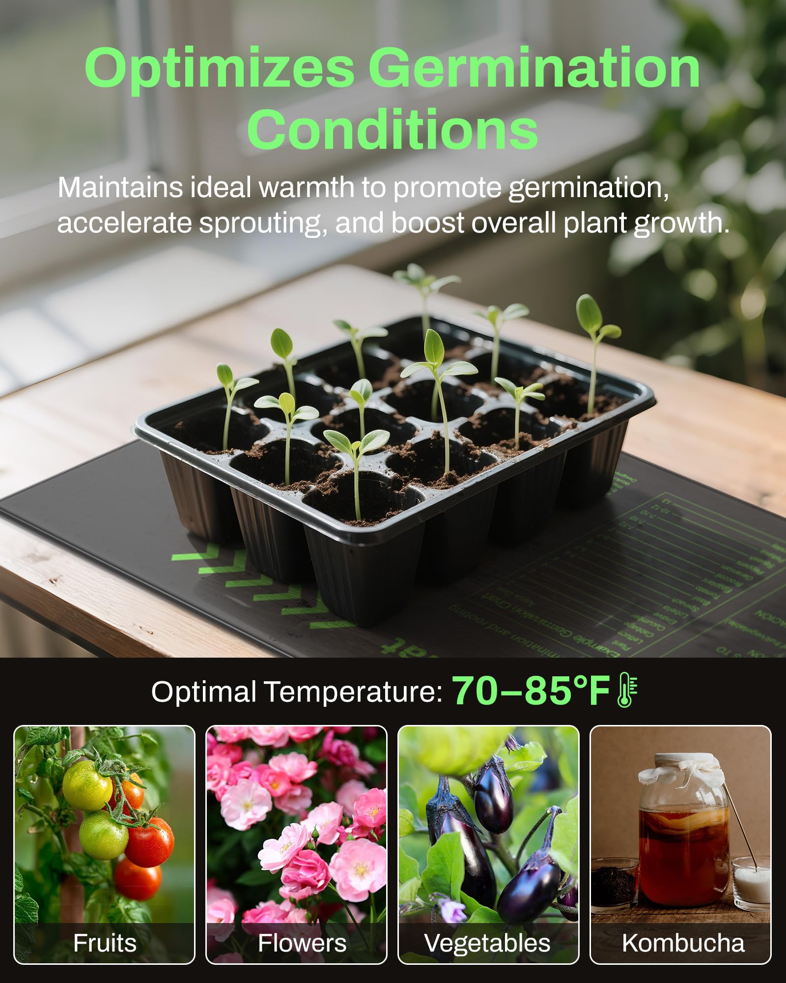 BN-LINK heat mat in use for plant propagation