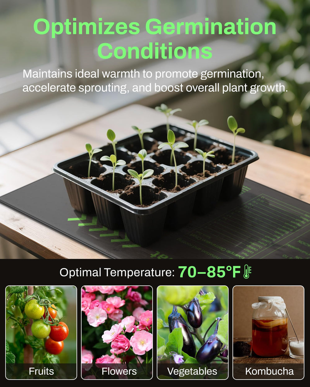 BN-LINK heat mat in use for plant propagation