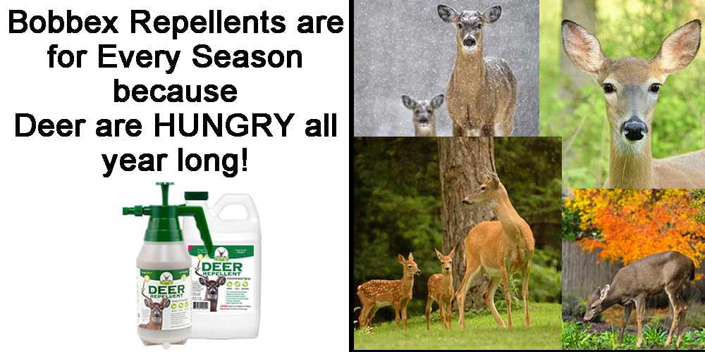 Bobbex concentrated deer repellent in garden setting