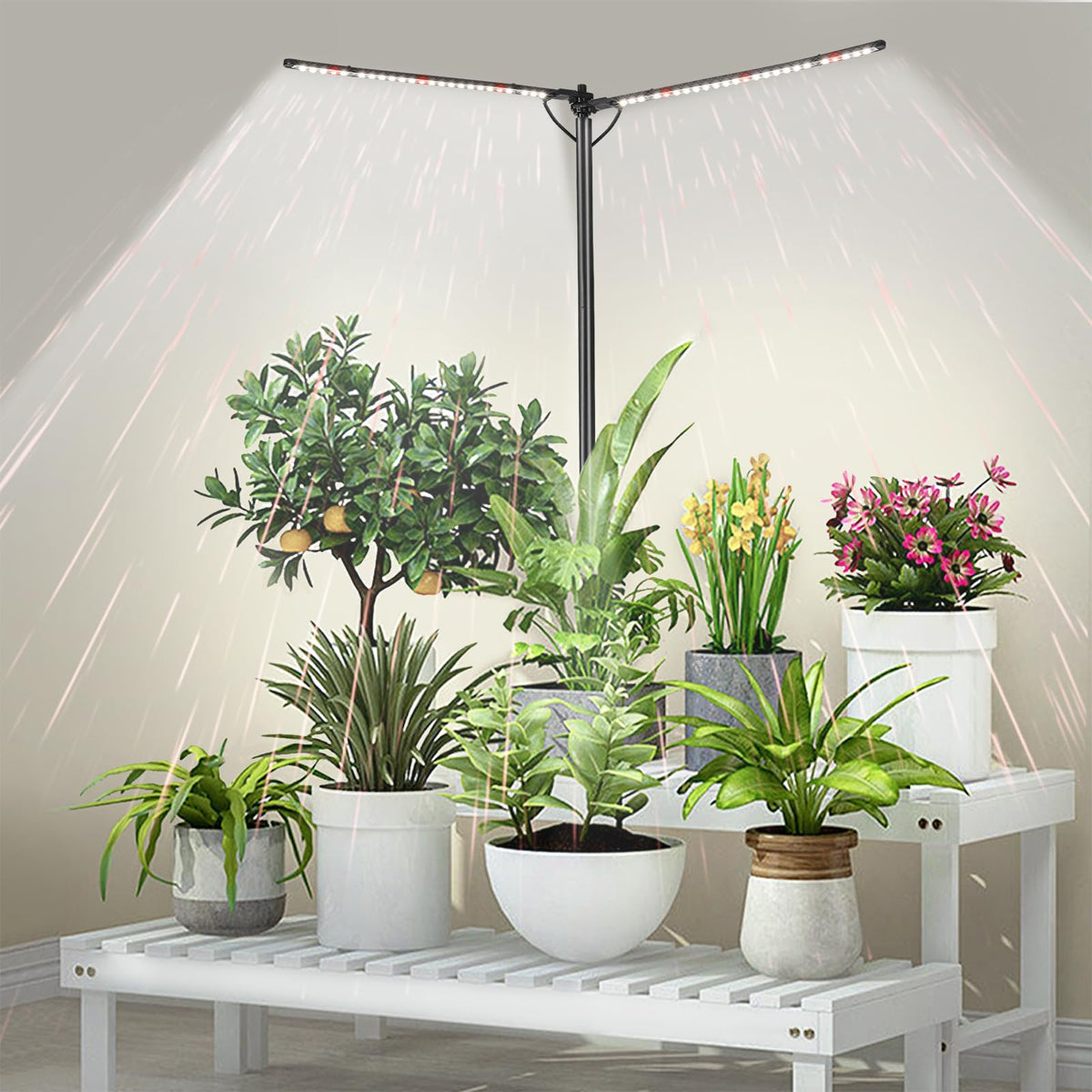 bodkar Plant Grow Light front view with 2 heads